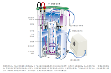 美國伯樂 制備型電泳